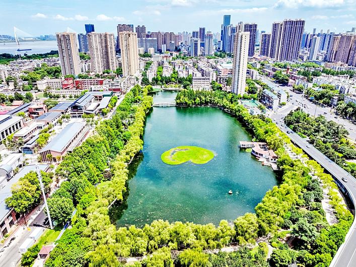  武汉城管通报2025年度违法建设整治十大典型案例  别墅违建当事人被追缴6万元强拆费