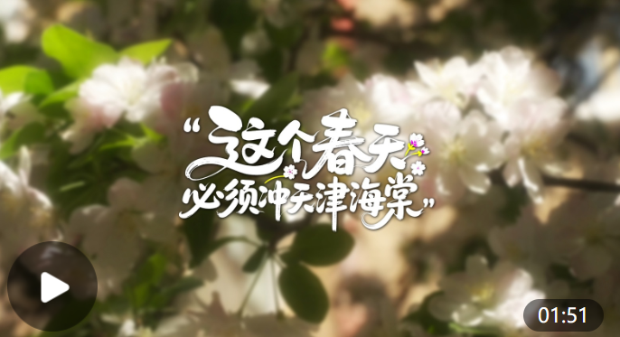 “津”非昔比丨这个春天必须冲天津海棠