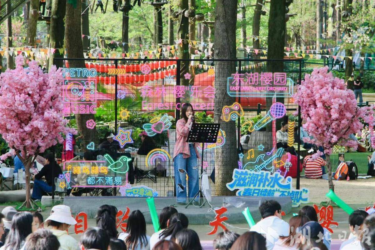 东湖樱花园即将闭园，本周末迎来最后赏樱佳期