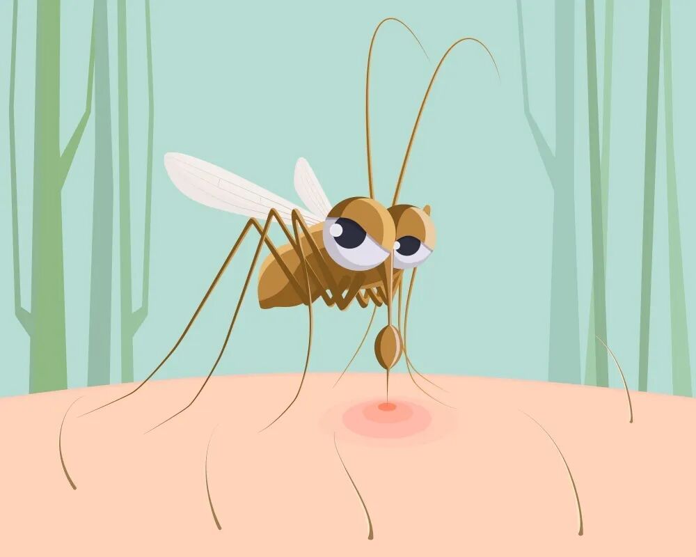 科学防制病媒生物，筑牢健康防线