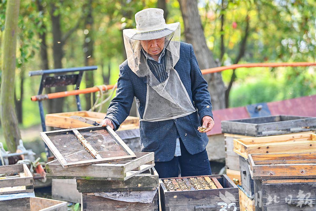春蜜开始上市啦 接受预订支持蜂场现取！