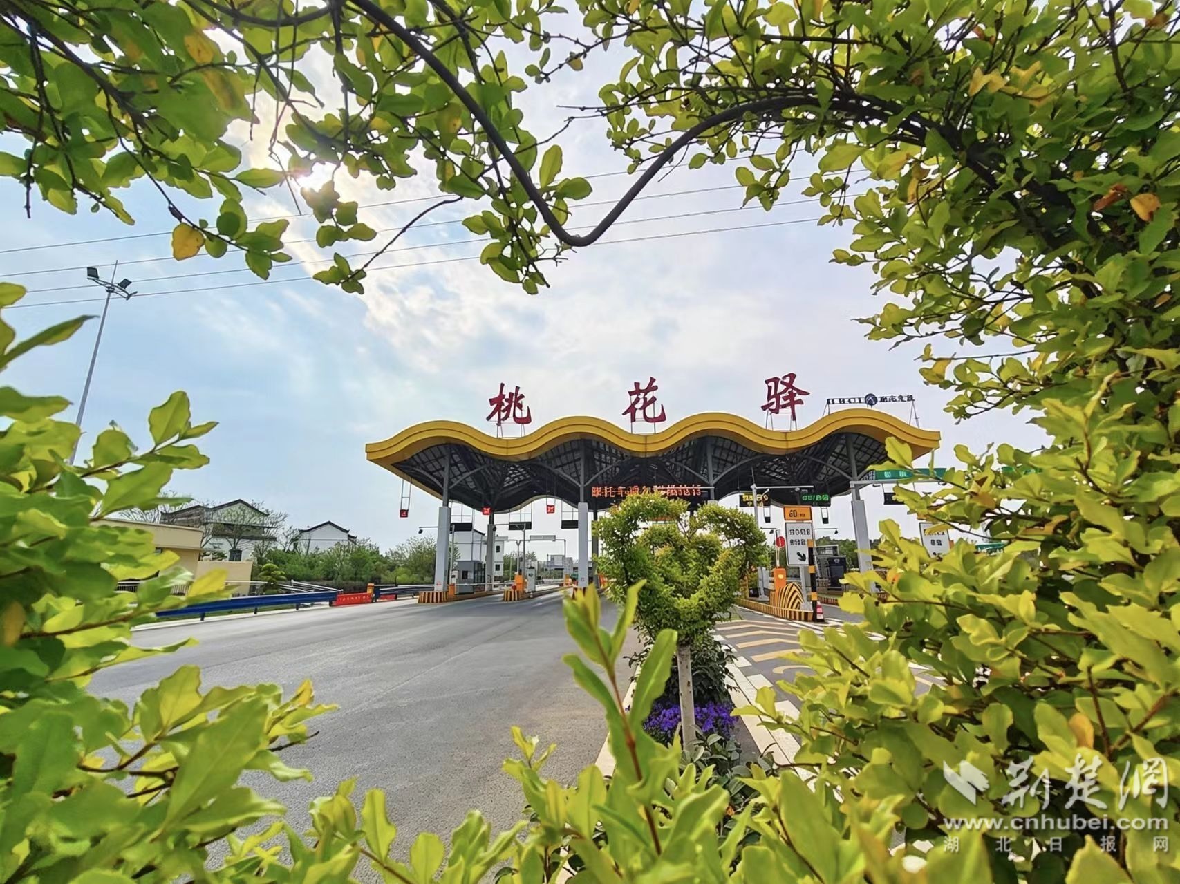 高速+文旅，桃花驿这样“破圈”