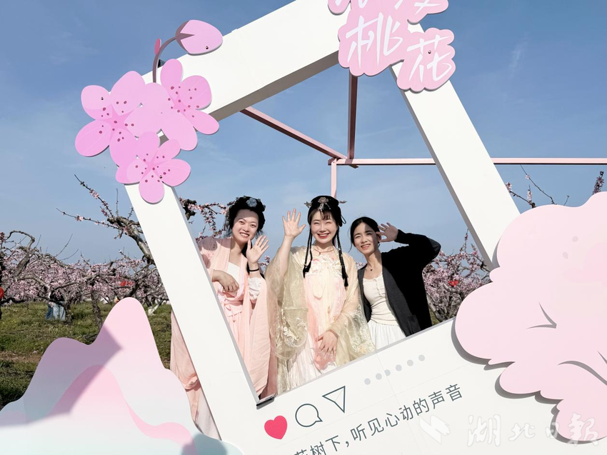  千亩桃花映高速 一路春风暖垌塚