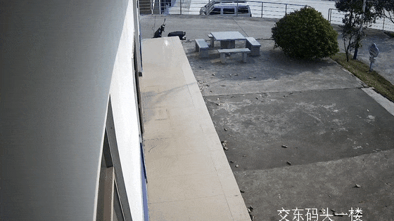 25岁海警被走私艇高速冲撞，牺牲前最后画面公开……