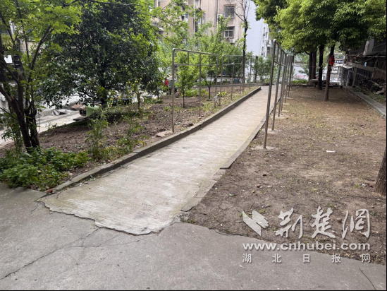 荆门市东宝区团结社区：居民携手绘就家园清洁新图景
