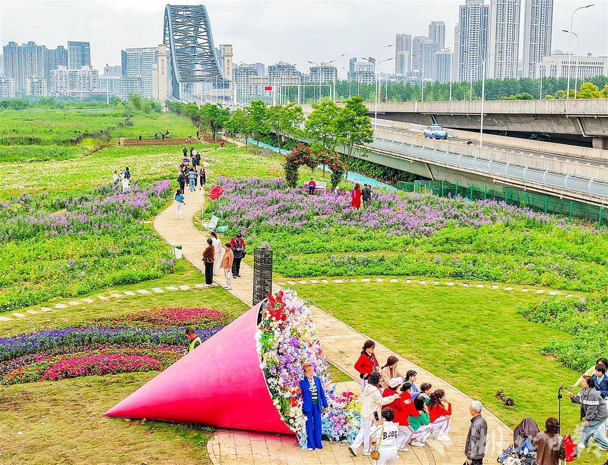 汉江湾花海迎来盛花期   “五一”打卡好去处！