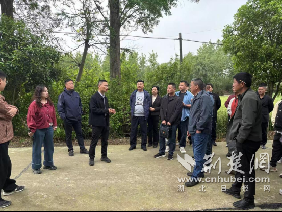  沙洋县马良镇开展“清洁家园·美丽湾组”拉练活动