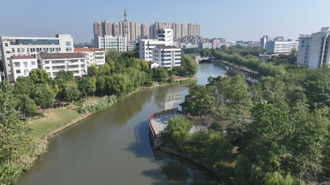 图片3.png.png