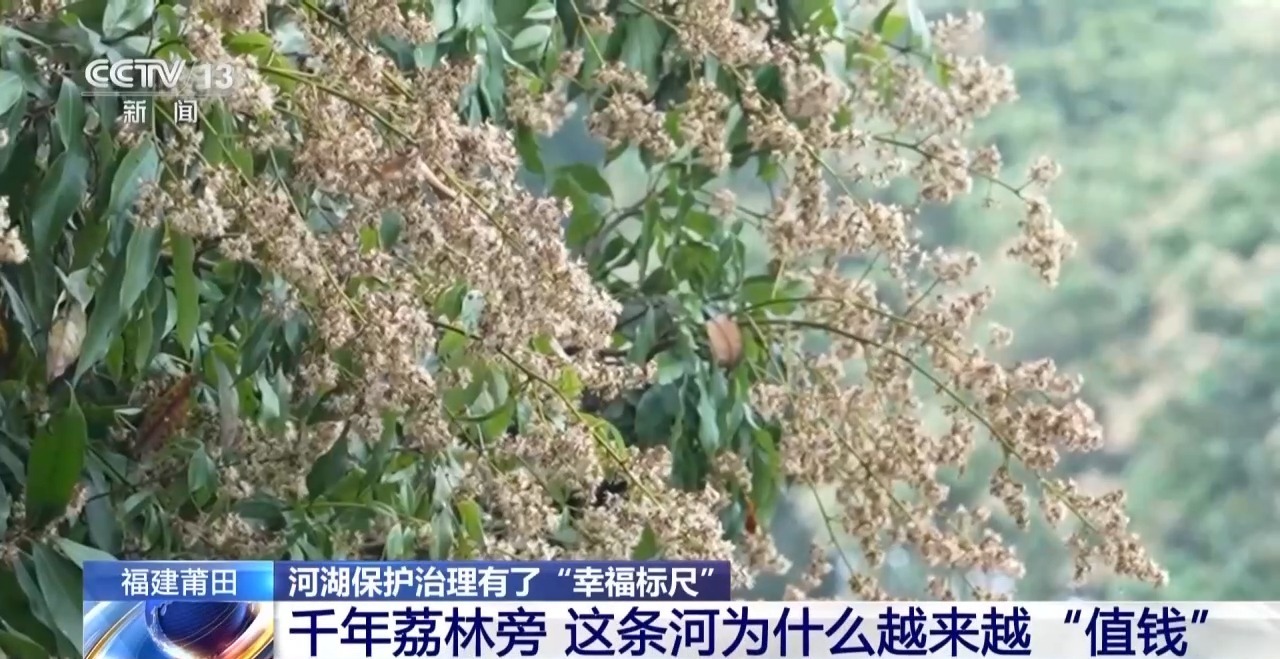 幸福河湖有国标了!莆田这条河用AI把“治水”变“智水”