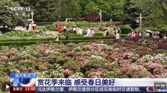  视频丨赏花季来临 一起去全国各地感受春日美好→