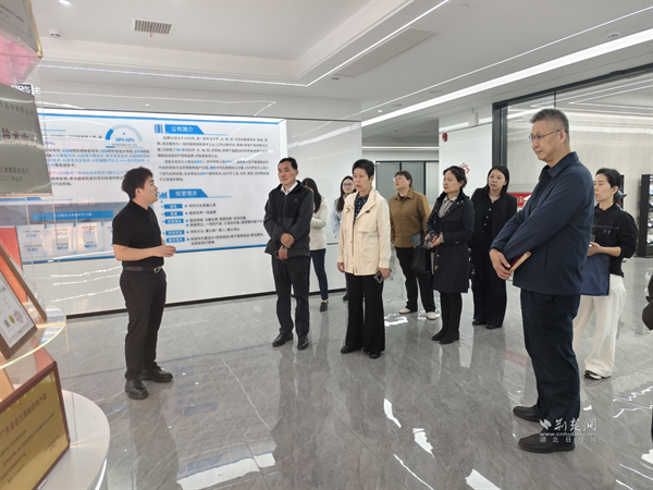 聚焦科技创新 武昌人大代表赋能区域高质量发展