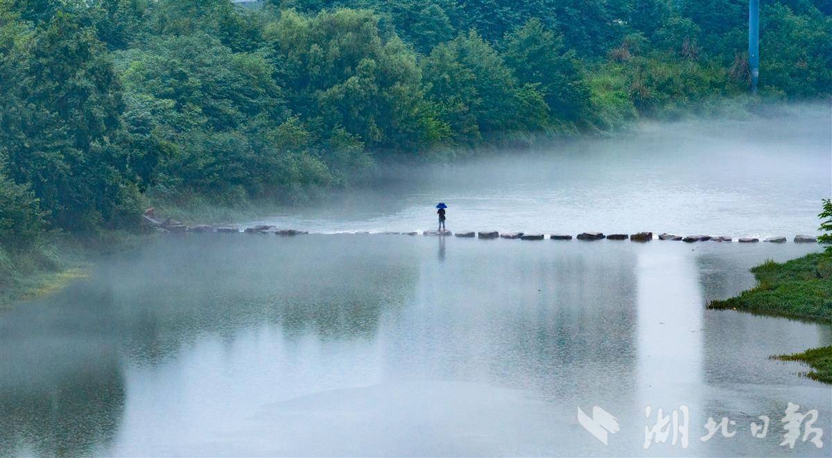 宜昌持续降雨，卷桥河湿地现雨雾景观