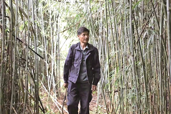 扎根林海40年 徒步30万公里 护林员刘炳生入选“湖北好人”