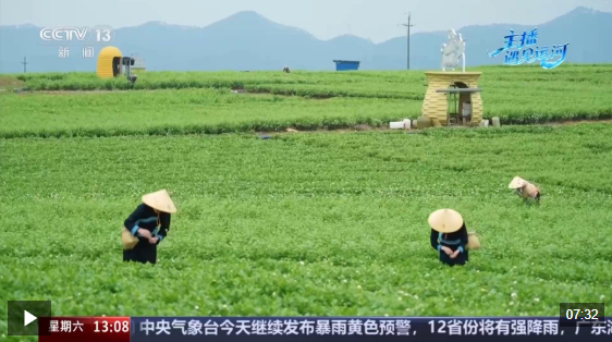 视频丨传统产业如何玩出新花样？解锁平陆运河沿线的“香甜密码”