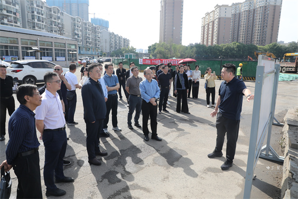 武昌人大：市区两级代表走进白沙新城 以履职实效助力新城高质量发展