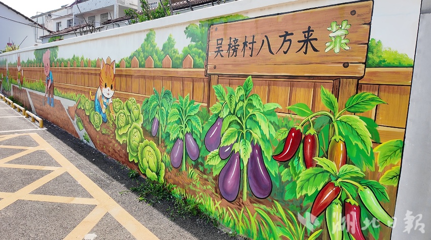  墙画入村，荒地生金！新洲吴榜村共享菜园解锁乡村新玩法