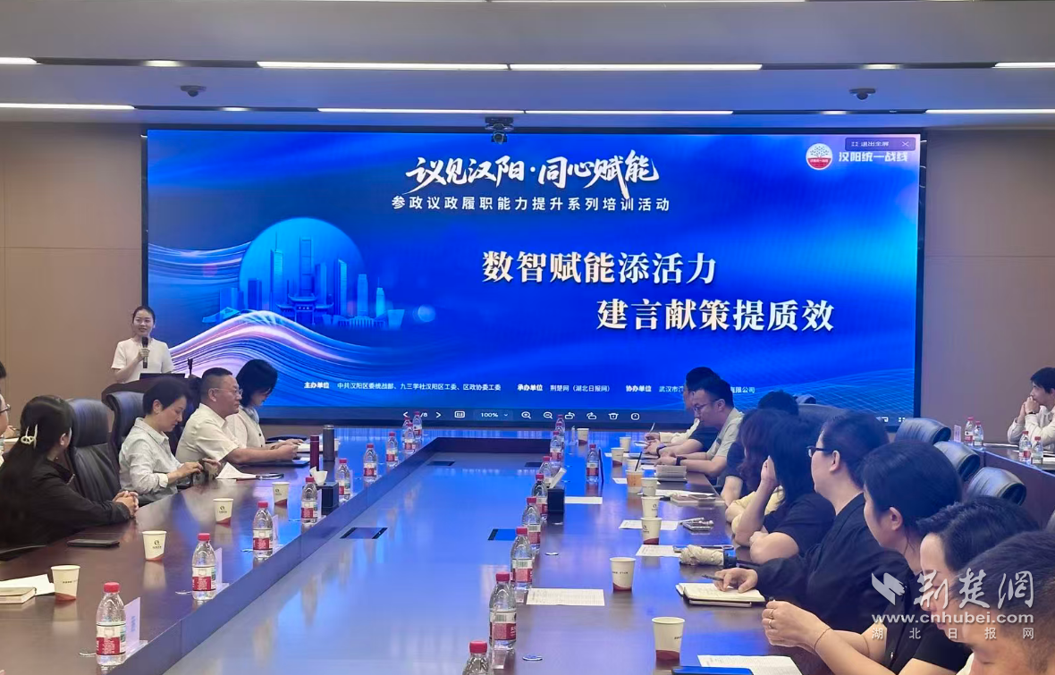 建言有“数”落地有“方”  持续擦亮汉阳统战“金名片”
