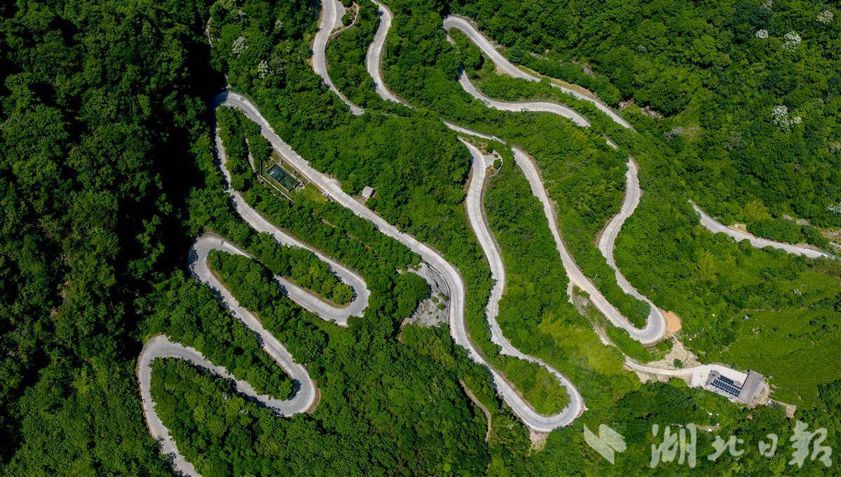 青山通坦途 美景入画来！宜都美丽宜道激活乡村发展活力