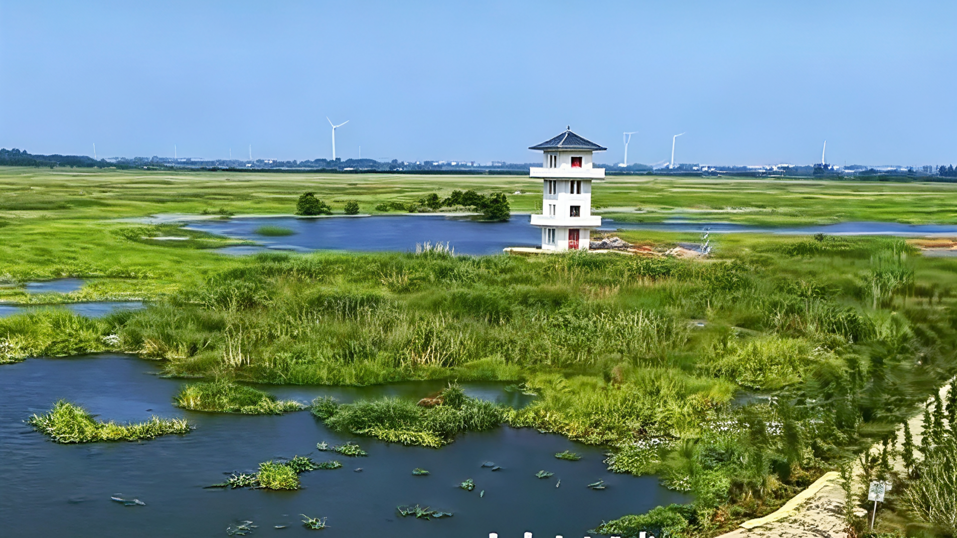 古泽遗珠 白塔观澜 老观湖观鸟塔成江汉平原生态新地标