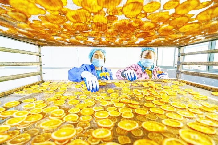 秭归脐橙进入药食同源新赛道