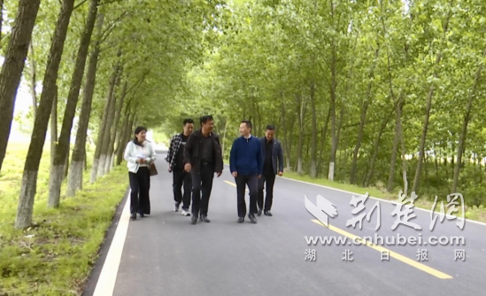 钟祥市：敖中线升级改造 铺就乡村振兴“致富路”