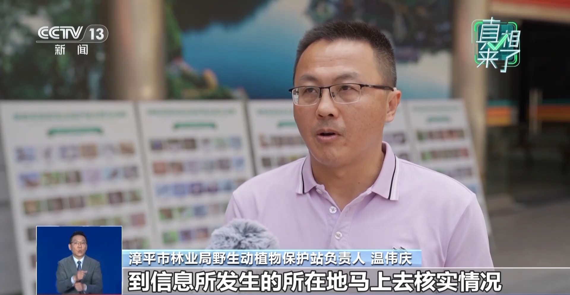 真相来了丨网传有人拍到“野生华南虎”？当地辟谣：照片是下载的