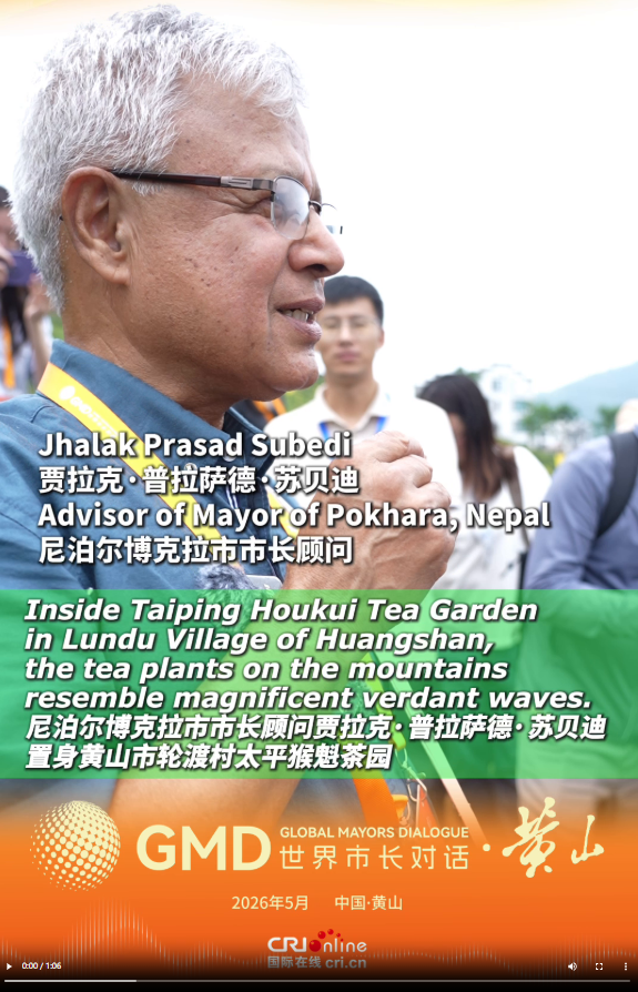 黄山太平猴魁茶园响起异域歌声 原来是他唱起了家乡采茶歌