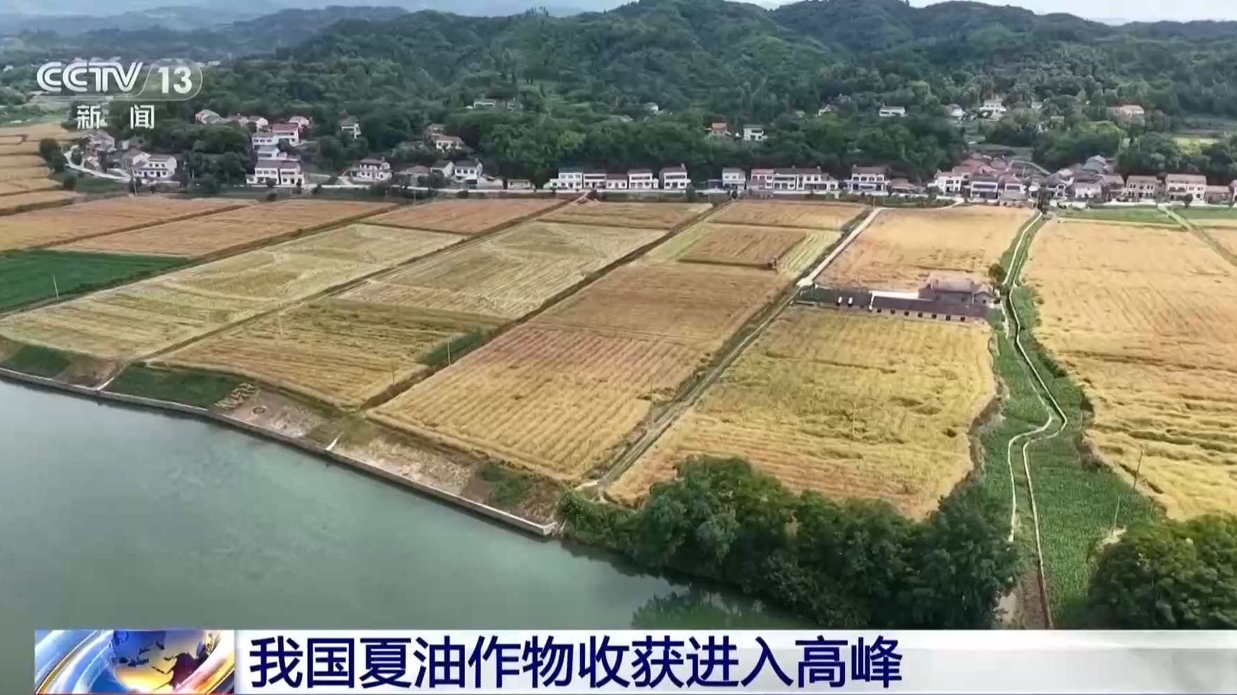  我国夏油作物收获进入高峰