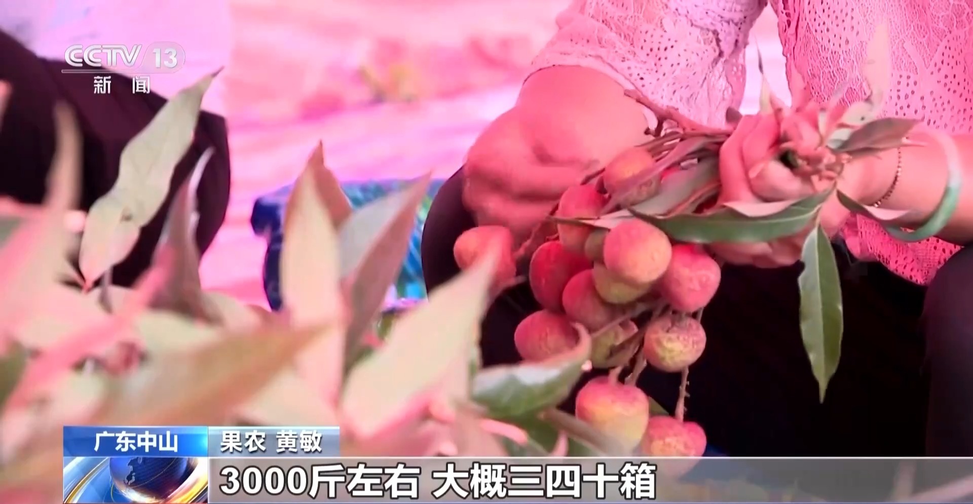 荔枝红透 榴莲飘香 夏季鲜果大量上市 挑选有诀窍