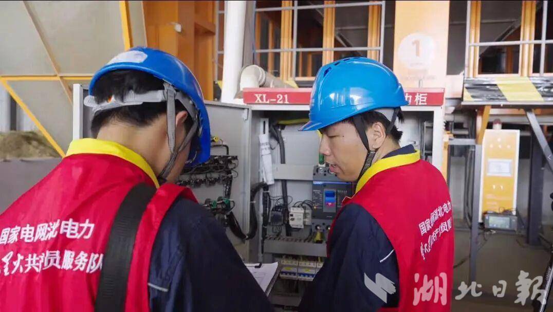 与大雨赛跑！新洲近两万亩粮油拼抢农时加速入仓