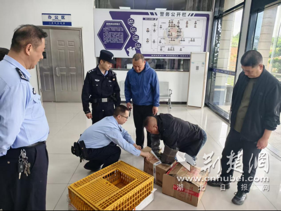  京山公安：“萌”禽出没！警民暖心接力救助