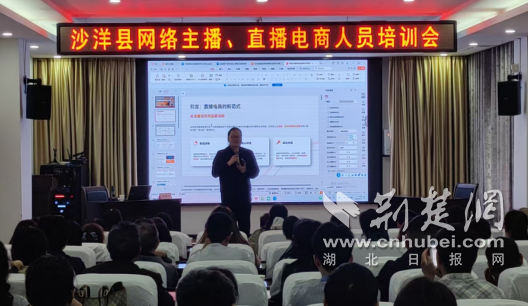 沙洋县启动新就业群体技能培训为直播电商发展“充电赋能”