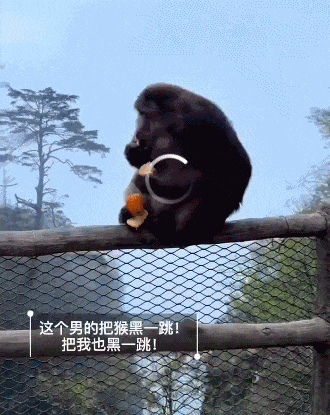 网传“男子猛推峨眉山猴险致其坠崖”，景区通报！