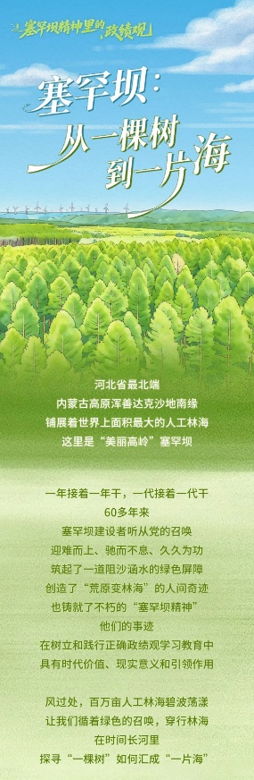 塞罕壩：從一棵樹到一片海