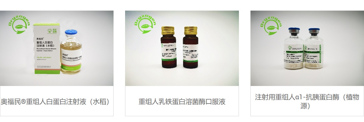 禾元生物积极准备医保谈判申报 全球首个重组人白蛋白奥福民商业化提速