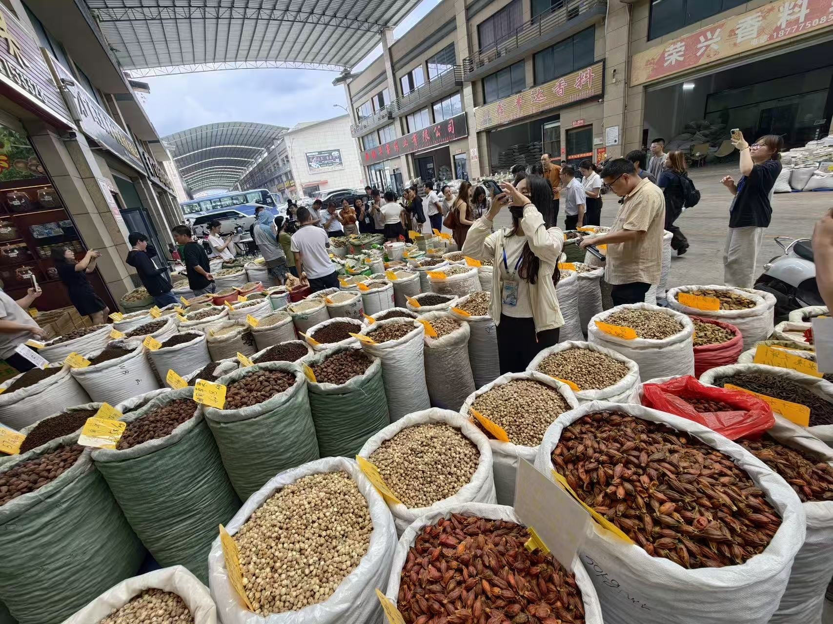 “味”通山海 焕新玉林丨开局之年看中国