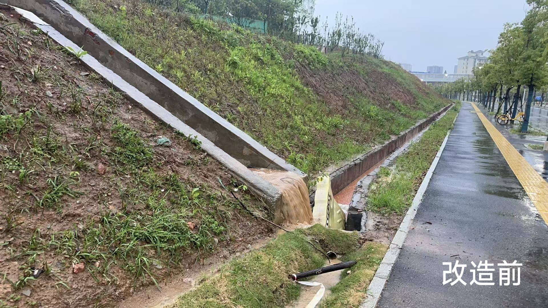 家门口的荒坡变步道！东西湖“两山”焕新，居民休闲有了新去处
