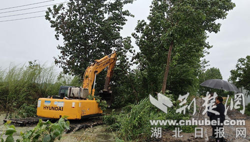 钟祥市九里回族乡河湖长制撑起14座水库“安全伞”
