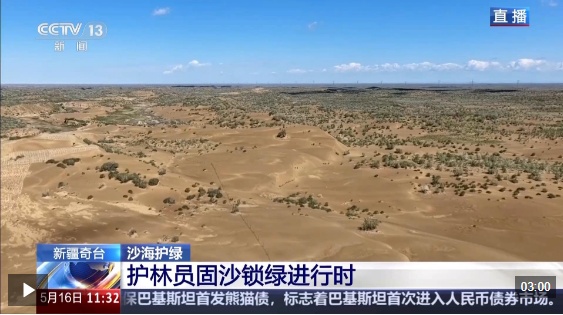 视频丨沙海变花海 揭秘古尔班通古特沙漠的“锁沙”密码