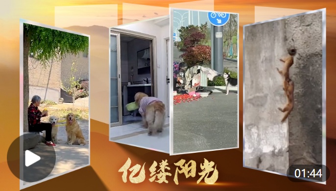 亿缕阳光｜万物有灵皆暖心
