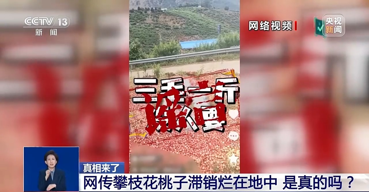 真相来了丨网传攀枝花桃子滞销烂在地中？当地回应：视频与实际情况不符，已删除