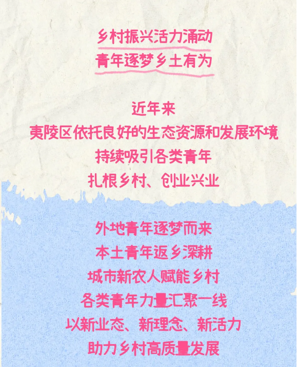 这群年轻人，在夷陵乡村找到了什么？