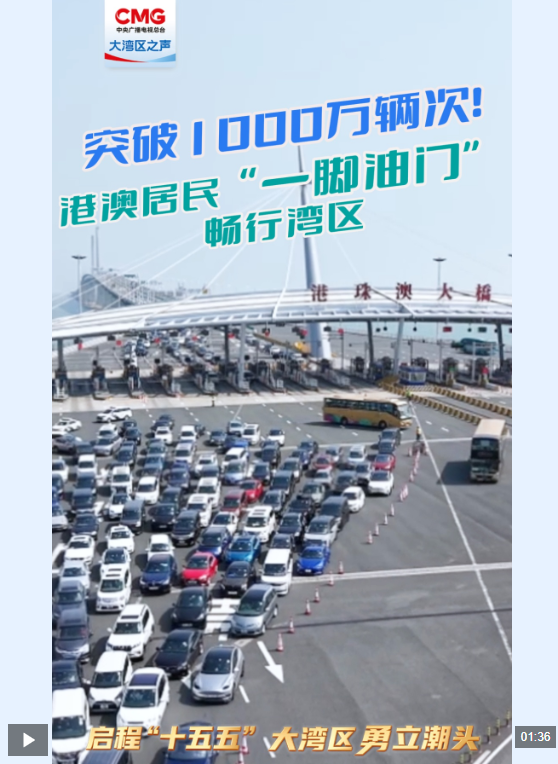  勇立潮头大湾区丨突破1000万辆次！港澳居民“一脚油门”畅行湾区