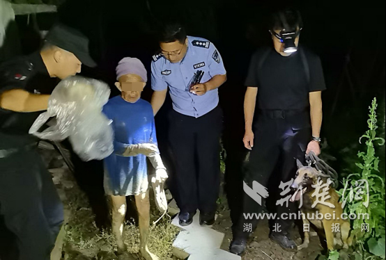 沙洋公安联动荆门警犬基地 深夜搜救守护老人平安回家