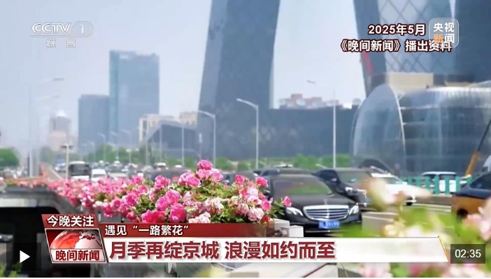 视频丨遇见“一路繁花” 多地赏花经济活力旺
