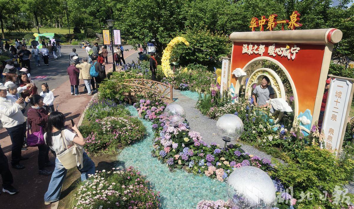 武汉都市圈花展鲜花盛放，不负春光等你来