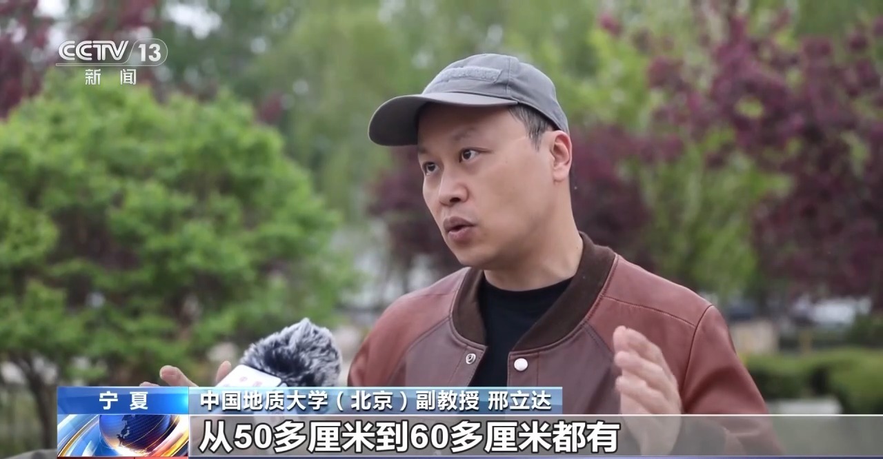 241枚距今约1.1亿年前恐龙足迹 为何在宁夏六盘山岩壁上