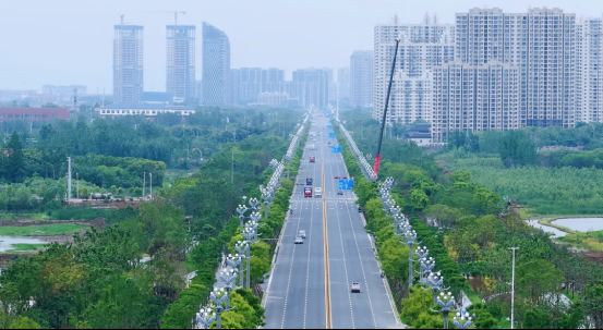 藏不住了！孝南这条绿廊太治愈