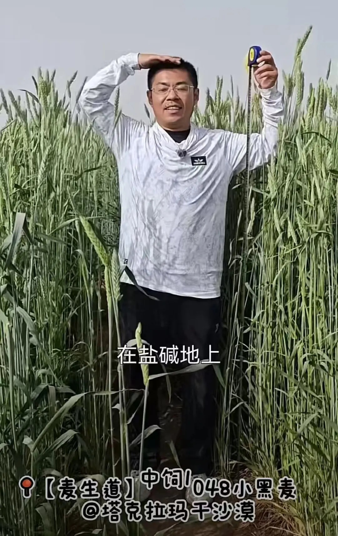 让袁隆平挠头的博士，带来好消息！