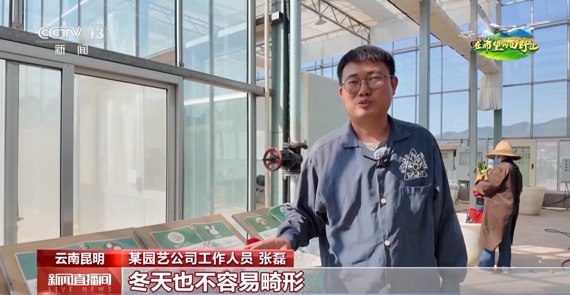  颜值高能抗病好栽培 绿色种植助力自育月季品质提升